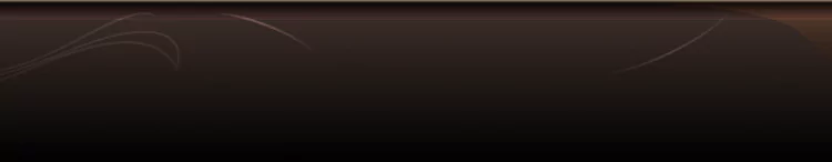 background category section